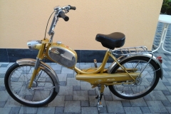 Mondia_503_Gold_B.Hobi_02