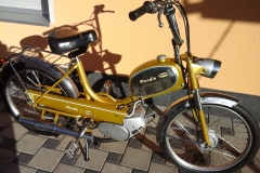 Mondia_503_Gold_B.Hobi_03