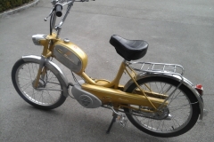 Mondia_503_Gold_B.Hobi_05