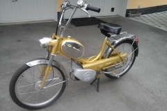 Mondia_503_Gold_B.Hobi_06
