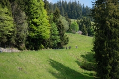 Toeffli-Event-2017-0660