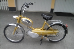 Mondia_503_Gold_B.Hobi_07